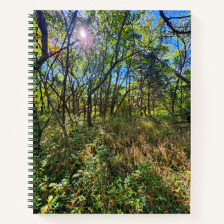 Die Sonne im Uni-Ruled-Notebook der Bäume Notizbuch