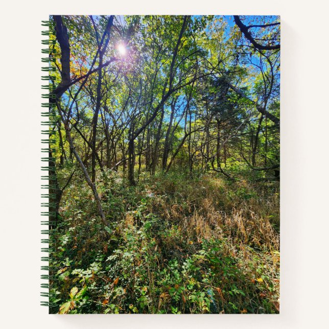 Die Sonne im Uni-Ruled-Notebook der Bäume Notizbuch (Vorderseite)