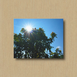 Die Sonne und ihre Strahlen über einem Baum Leinwa Leinwanddruck