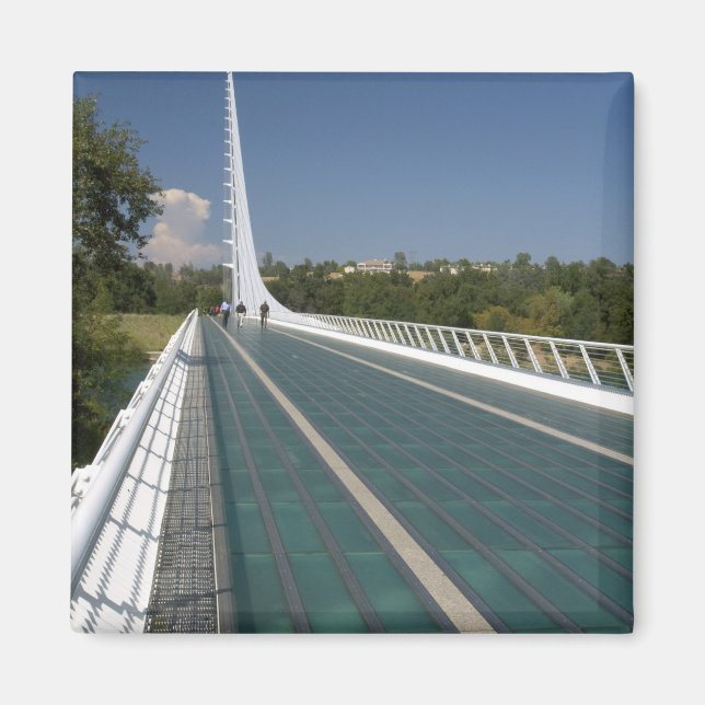 Die Sonnenbrücke in der Bucht von Turtle Magnet (Vorne)