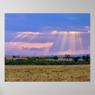 Die Sonnenstrahlen am Masai Mara. Poster