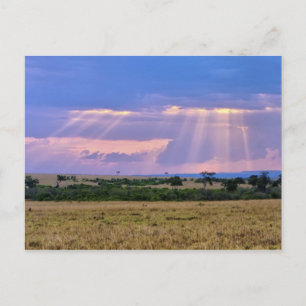 Die Sonnenstrahlen am Masai Mara. Postkarte