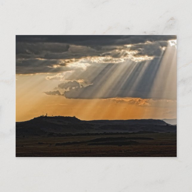 Die Sonnenstrahlen am Masai Mara. Postkarte (Vorderseite)