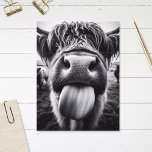 Die sonnige Kuh schwarz und weiß Postkarte<br><div class="desc">Schicken Sie Lächeln mit unserer schwarz-weißen Postkarte,  die eine spielerische Kuh auf der Zunge zeigt. Ideal,  um Lachen und herzliche Grüße zu teilen,  ist es eine wunderbare Möglichkeit,  jemandes Tag mit einer Touch von Launen aufzuheitern.</div>