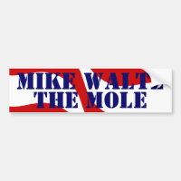 Die Source-Mike Waltz The Mole im Weißen Haus