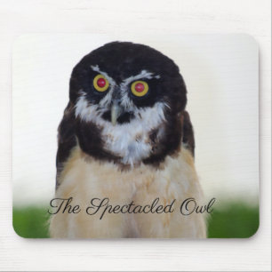 Die spektakuläre Eule Mousepad