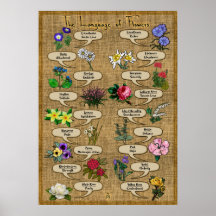 Die Sprache der Blume