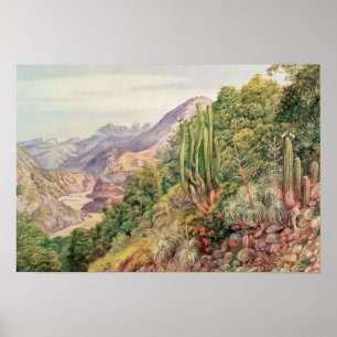 Die Sprachenstreams in der Cordellera, Chile Poster