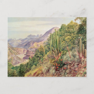 Die Sprachenstreams in der Cordellera, Chile Postkarte