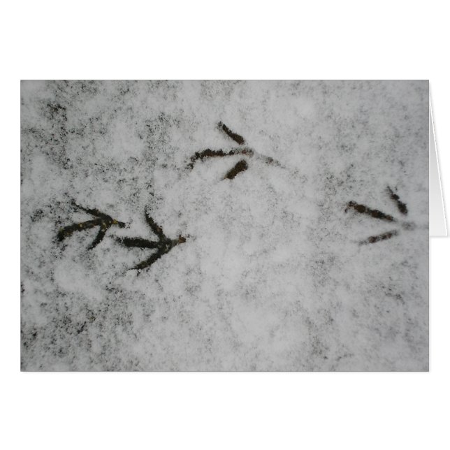 Die Spuren des Schnees (Vorderseite (Horizontal))