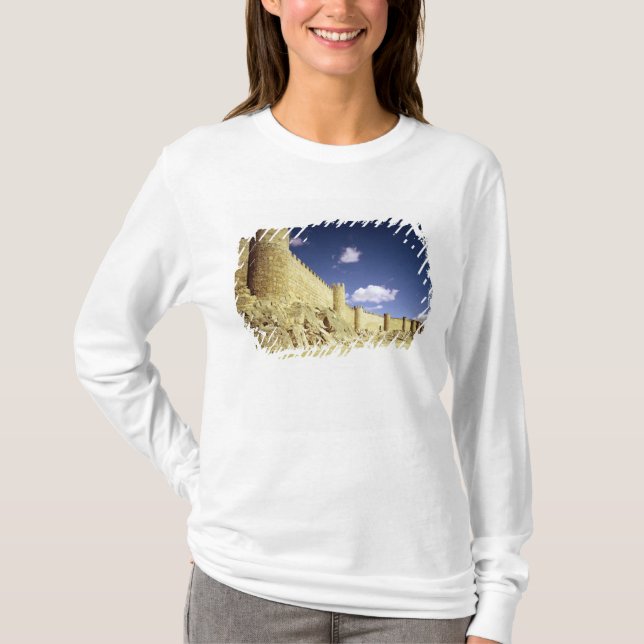 Die Stadtwände T-Shirt (Vorderseite)