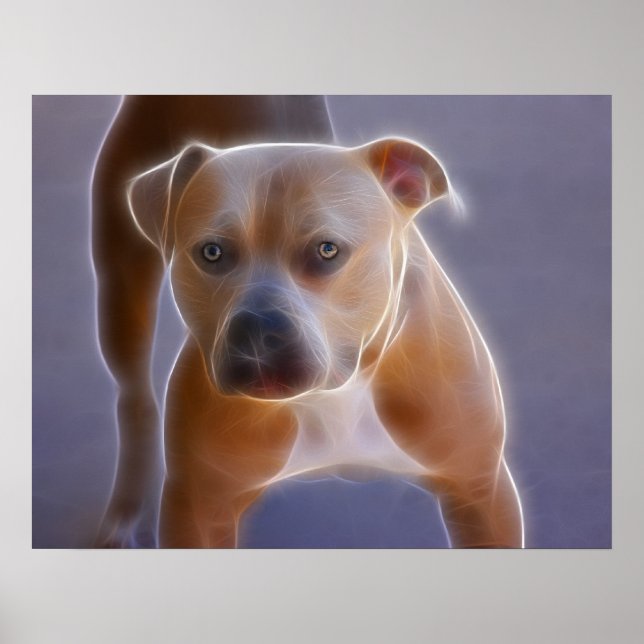 Die Stance Poster (Vorne)