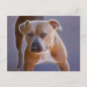 Die Stance Postkarte