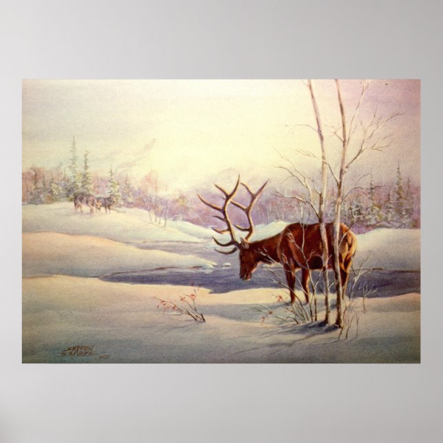 DIE STANDOFF VON SHARON SHARPE POSTER (Vorne)