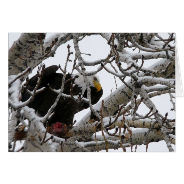 Die starken überleben (Vorderseite (Horizontal))