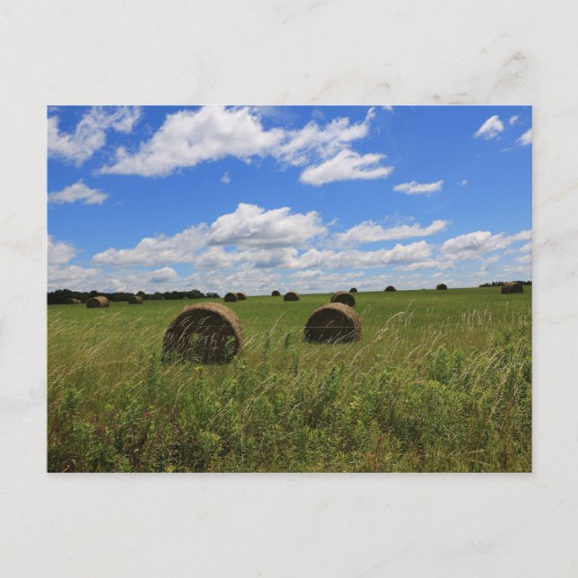 Die Steine des Sommers Postkarte (Vorderseite)