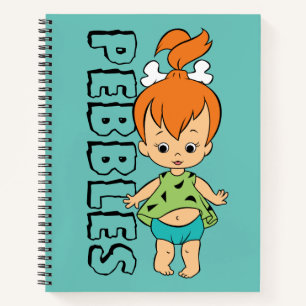 Die Steine Kies Flintstone Notizbuch