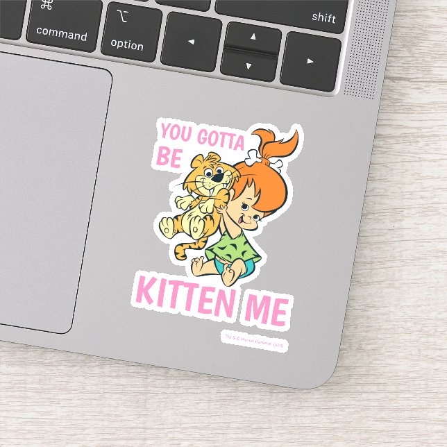 Die Steine | Kies und ihr Tiger Aufkleber (Detail)