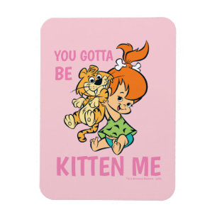 Die Steine   Kies und ihr Tiger Magnet