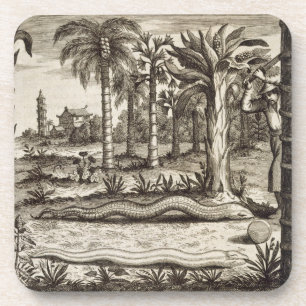 Die Steinschlange, "von der China illustriert" Getränkeuntersetzer