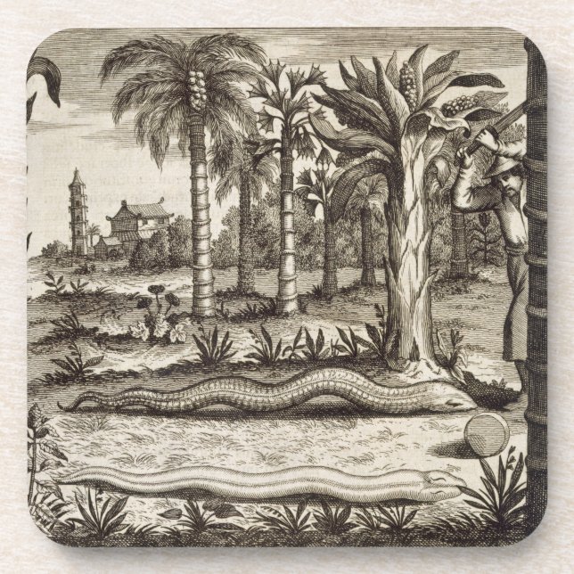 Die Steinschlange, "von der China illustriert" Getränkeuntersetzer (Vorderseite)