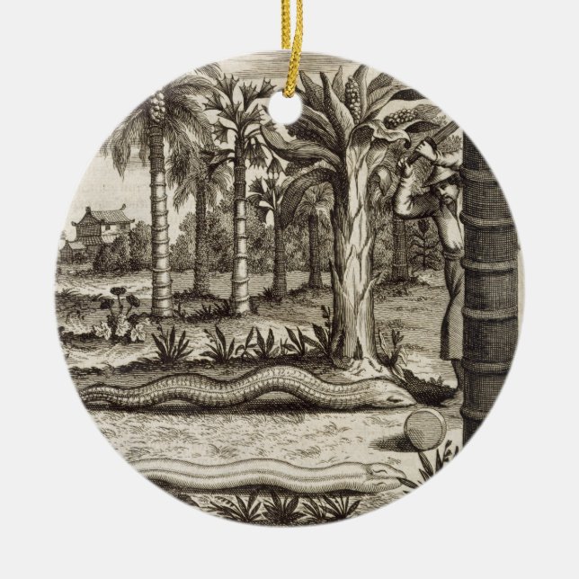 Die Steinschlange, "von der China illustriert" Keramik Ornament (Vorne)