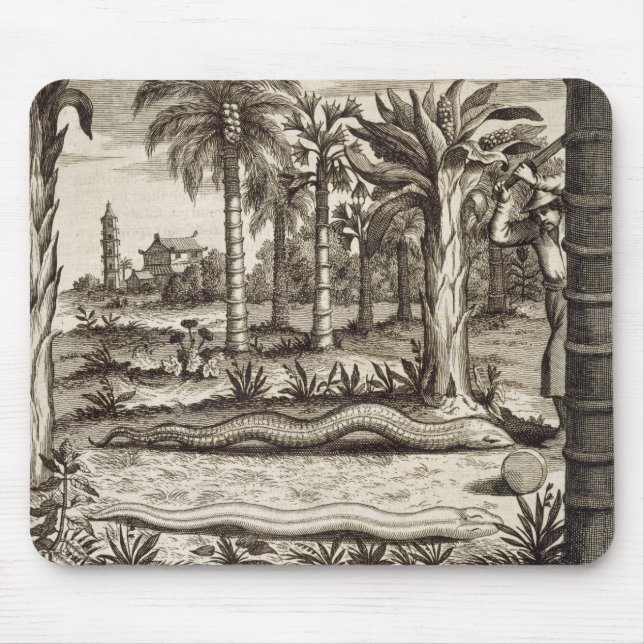 Die Steinschlange, "von der China illustriert" Mousepad (Vorne)