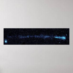 Die Stern-Mira mit blühendem Schwanz Poster