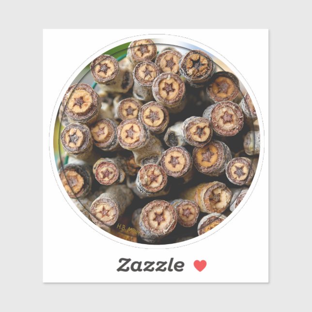 Die Sterne der Cottonwood Trees entlang der Rio Gr Aufkleber (Blatt)