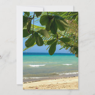 Die Strandlandschaft. Philippinen. Moalboal. Der w Einladung