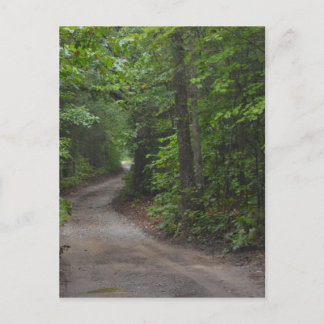 Die Straße im Sommer Postkarte