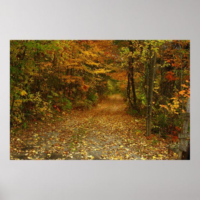 Die Straße ist weniger gereist Poster (Vorne)