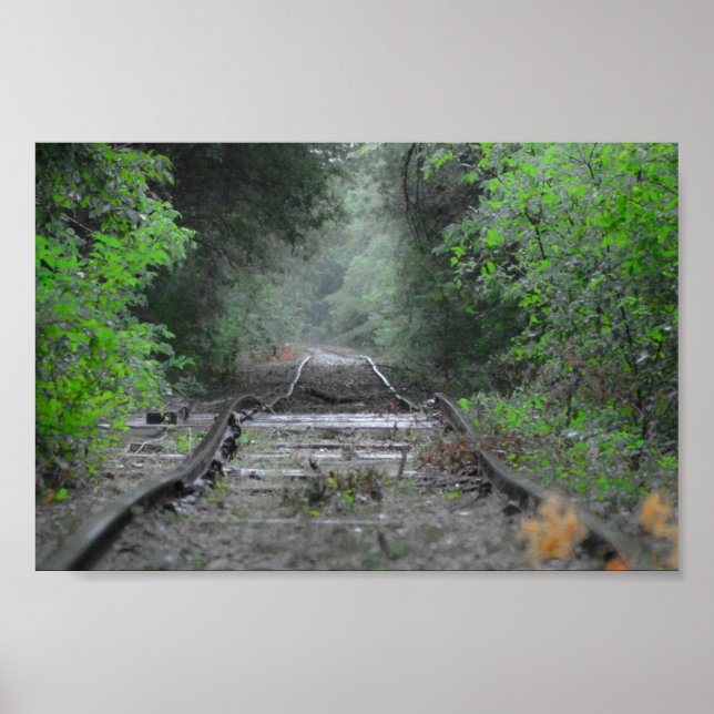 Die Straße ist weniger gereist Poster (Vorne)
