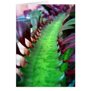 Die Straße reiste weniger