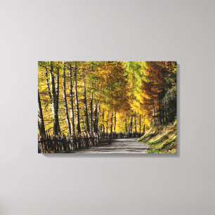 Die Straße zur Herbstleinwanddruck Leinwanddruck