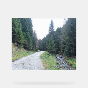 Die Straße zwischen Kiefern - Wilde Natur Rumänien Acrylschild
