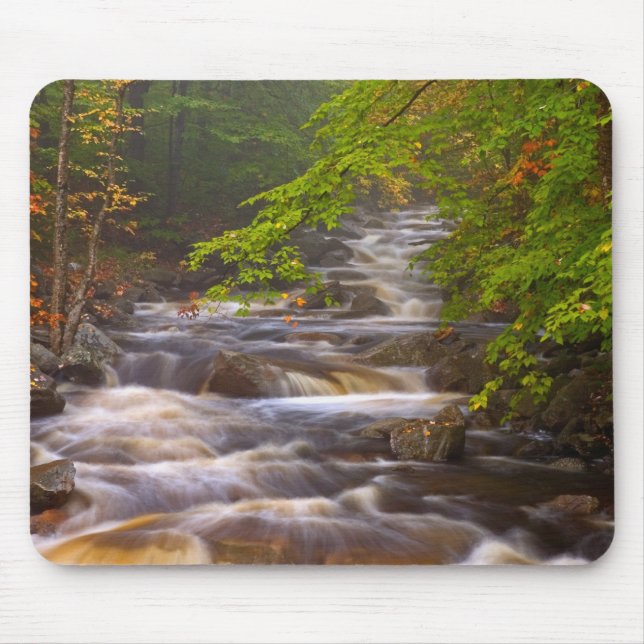 Die Ströme entlang des Appalachian Trail Mousepad (Vorne)