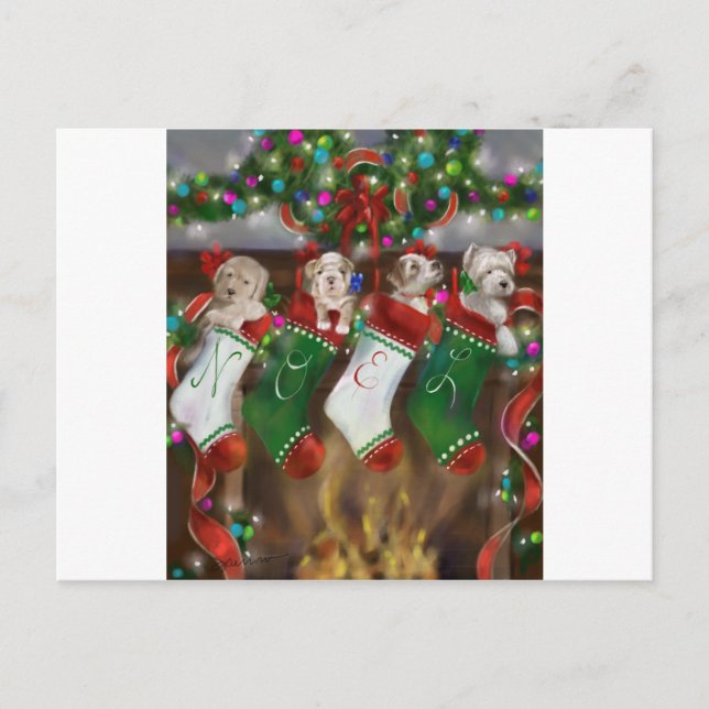 Die Strümpfe waren Hung Postkarte (Vorderseite)