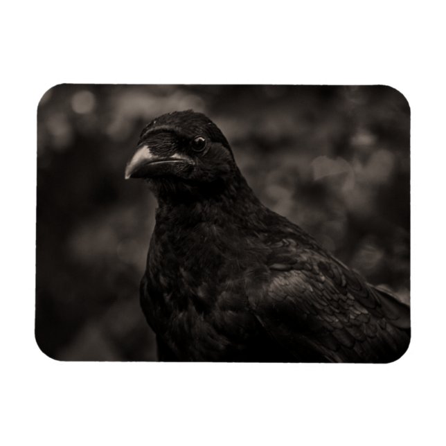 Die Suche Magnet (Horizontal)