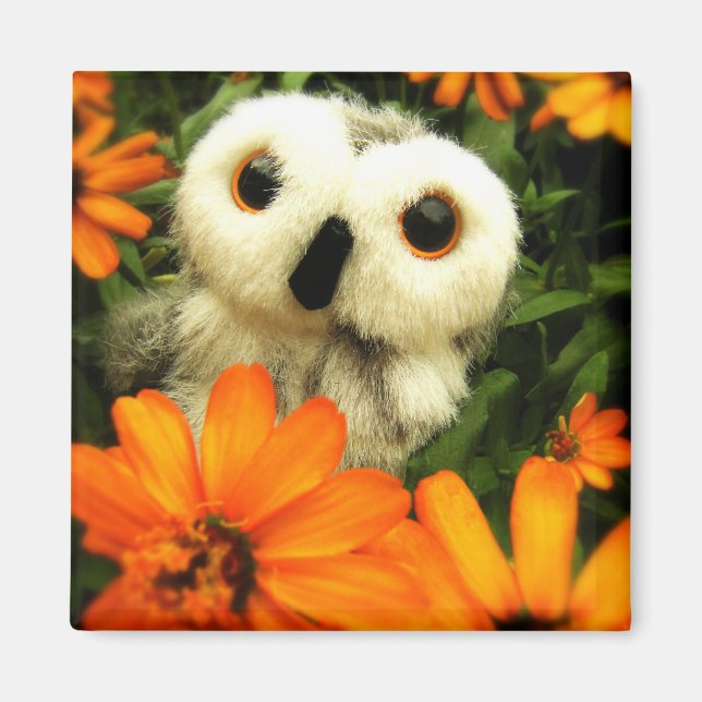 Die Suche nach Fairies geht weiter.. Magnet (Vorne)