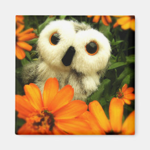 Die Suche nach Feen fährt… fort Magnet