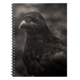 Die Suche Notizblock