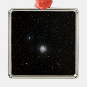 Die Südpinradgalaxie 2 Silbernes Ornament