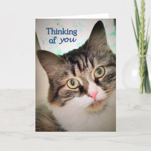 Die süßen Ausdrücke, die an Sie denken, kardieren Karte