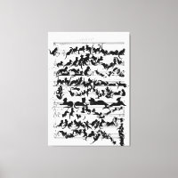 Die Symphonie des Cat Vector