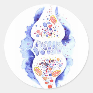 Die Synapse und die Nervenimpulse Leinwand drucken Runder Aufkleber