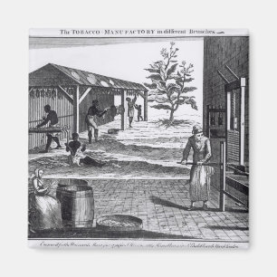 Die Tabak-Manufaktur in den verschiedenen Magnet