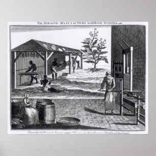 Die Tabak-Manufaktur in den verschiedenen Poster