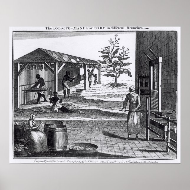 Die Tabakindustrie in verschiedenen Branchen Poster (Vorne)