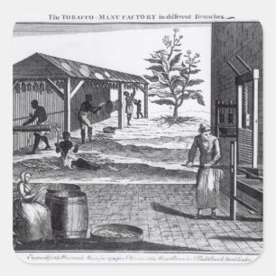 Die Tabakindustrie in verschiedenen Branchen Quadratischer Aufkleber